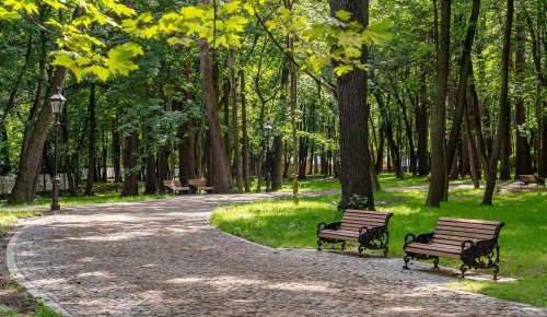 Библиотека №173 проведет бесплатную экскурсию по парку «Тропарево» 10 июля
