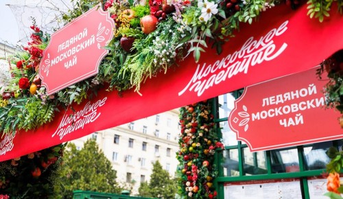 В Черемушках на площадке фестиваля «Московское чаепитие» можно попробовать ледяной чай