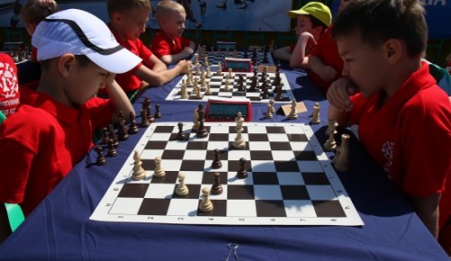 В Обручевском районе в рамках фестиваля «Лето в Москве. Все на улицу!» пройдёт занятие по шахматам и шашкам