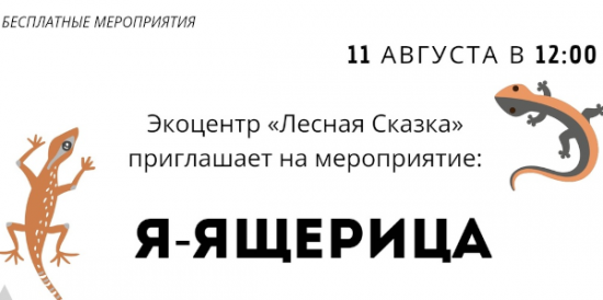 Мероприятие, посвященное ящерицам, состоится 11 августа в экоцентре «Лесная сказка»