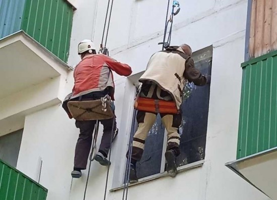 В Черёмушках спасли голубя из шахты лифта. Птица оказалась в смертельной ловушке