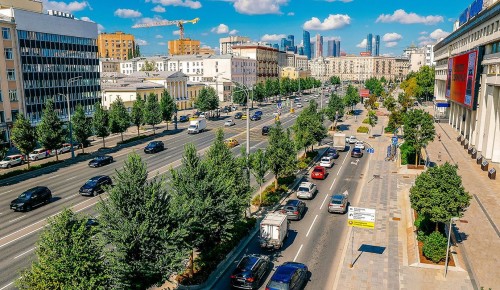 Сергей Собянин рассказал, как высадка деревьев украшает столичные магистрали