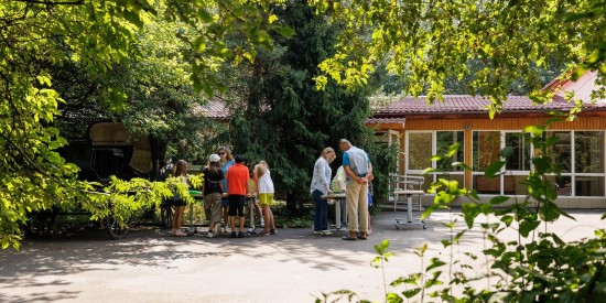 В экоцентре «Воробьевы горы» в рамках Дня экологических знаний организуют просветительскую программу 1 сентября