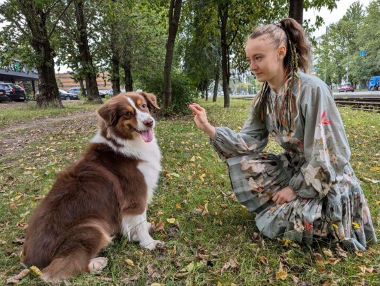 В Конькове в рамках фестиваля «Лето в Москве» организуют мастер-класс от кинолога