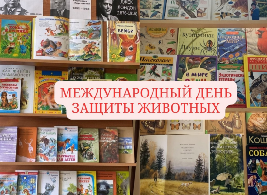 Школа №45 организовала выставку «В мире животных»