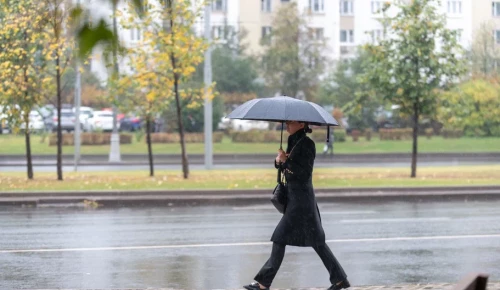 Похолодание и небольшие дожди возможны на юго-западе Москвы в выходные