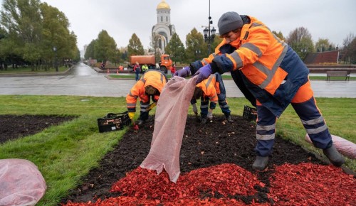 Клумбы на Профсоюзной улице задекорируют яркой щепой