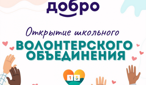 Волонтёрское объединение школы №15 появилось на платформе dobro.ru