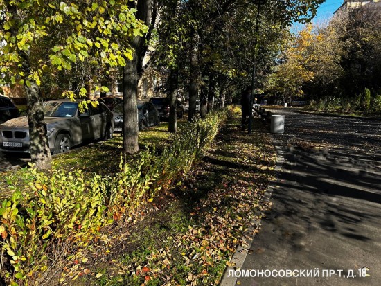 В ряде дворов Гагаринского района идет высадка деревьев