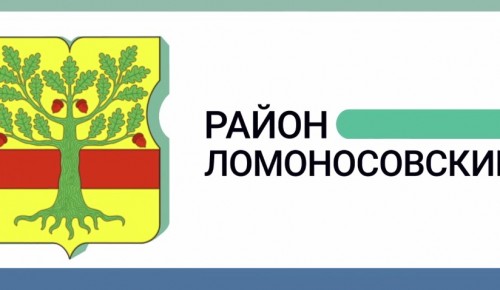 Жителям Ломоносовского рассказали, что означают символы, изображенные на гербе района