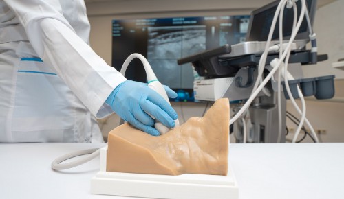 Собянин: В Москве разработали модели органов и тканей для обучения врачей