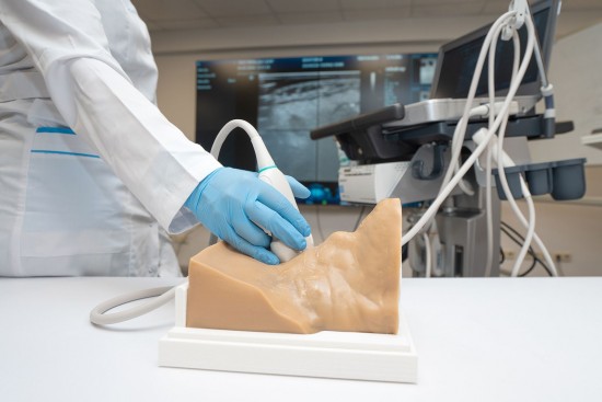 Собянин: В Москве разработали модели органов и тканей для обучения врачей