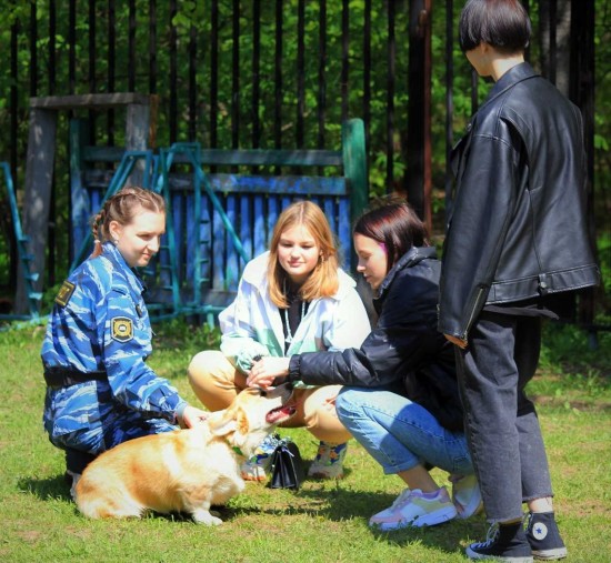 Найти призвание. В Обручевском обучают будущих спасателей, а в Тёплом Стане – кинологов