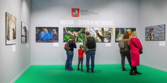 Семьи участников СВО приглашают на экскурсии по выставке «Золотая черепаха»