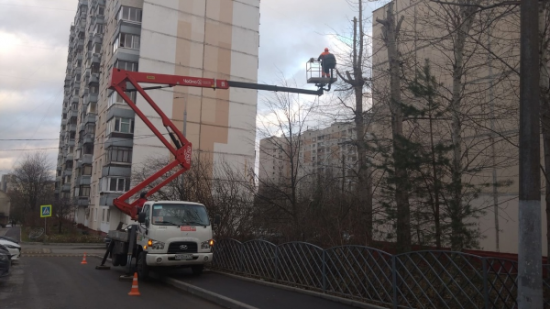 В Северном Бутове проведены работы по кронированию тополей