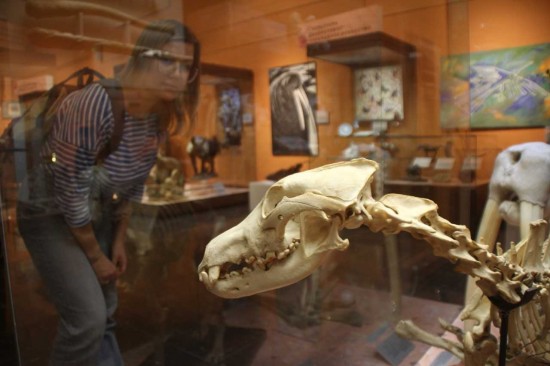 Впереди планеты всей. Москва на первом месте в мире по числу музеев