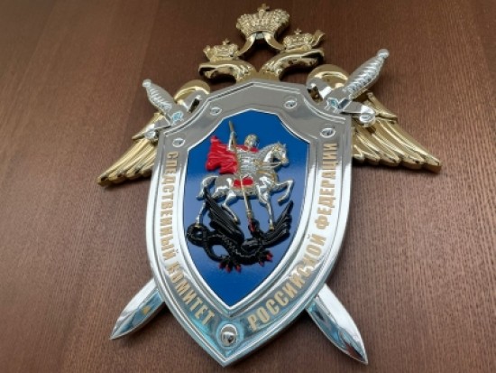 СК попросит арестовать обвиняемых в изнасиловании девушки в Ясеневе