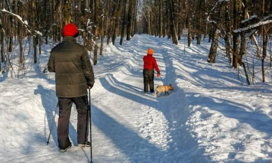 Жителей Северного Бутова приглашают 22 декабря на экопрогулку «Жизнь зимнего леса»