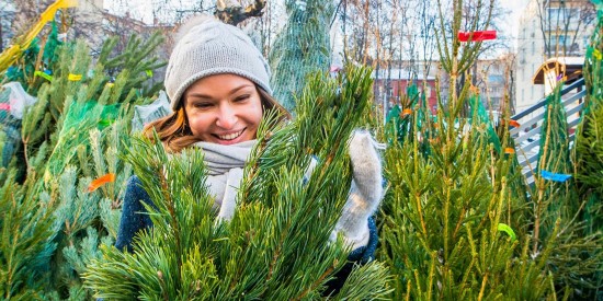 В Котловке заработали елочные базары