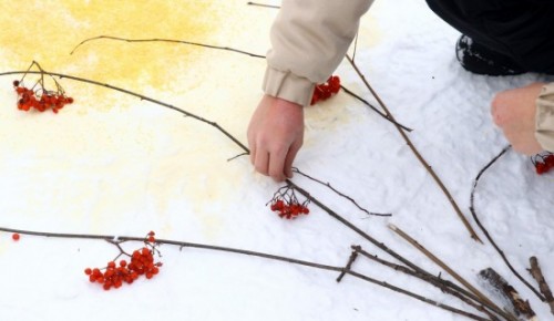 Экоцентры ЮЗАО присоединятся к акции «Снежный холст»