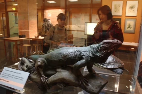 В Дарвиновском музее отпразднуют День науки