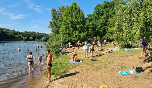 Готовимся к майским. Открыто онлайн-бронирование мест для пикников в парках