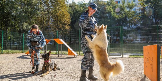 «Активные» горожане могут оценить проекты по благоустройству в Теплом Стане