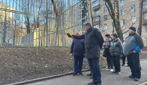 В Ломоносовском районе пройдет санитарная обрезка деревьев
