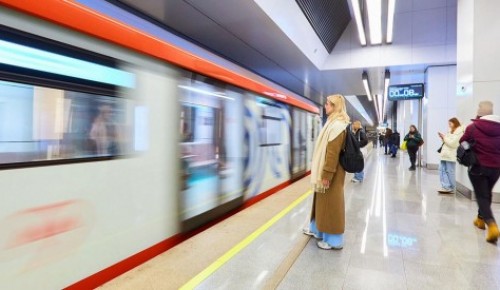 На москвича, ударившего подростка в метро в ЮЗАО, завели дело