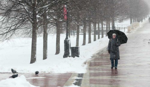 Собянин: Городской субботник из-за непогоды переносится с 12 на 19 апреля