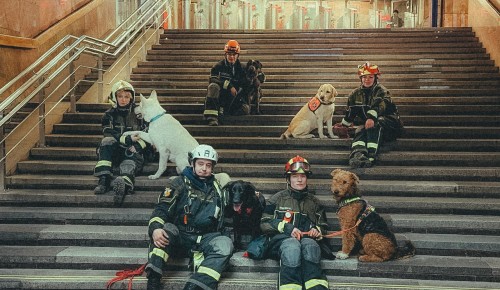 Кинологи Пожарно-спасательного центра впервые провели тренировку в столичном метро