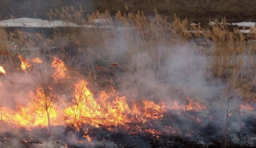 Столичным жителям напомнили про пожарную опасность сухой травы