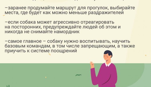 Москвичам напомнили о правилах выгула собак