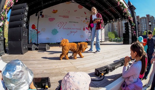 «Пасхальный дар»: благотворительный фестиваль пройдет в Москве