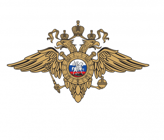УВД по ЮЗАО столицы напоминает об ответственности за противоправные деяния, совершенные в отношении полицейских