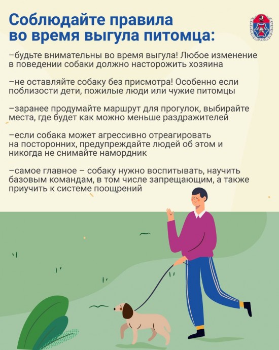 Москвичам напомнили о правилах выгула собак