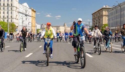 По столице с ветерком: количество велофестивалей в этом году выросло до пяти