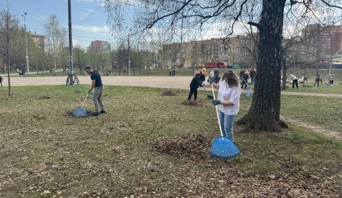 В парке «Надежда» прошел субботник