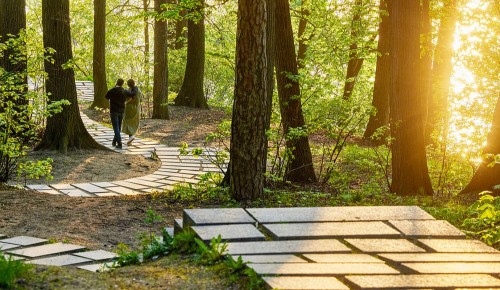 Усадьбу Воронцово обработают от клещей