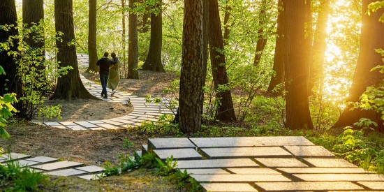 Усадьбу Воронцово обработают от клещей