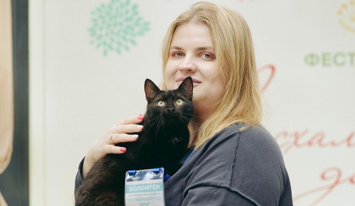 Насыщенная программа для отдыха с питомцами ждёт гостей фестиваля «Пасхальный дар»