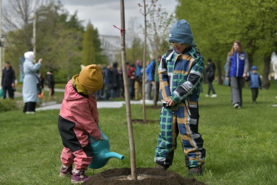 Космонавты и артисты посадили красные клены во время субботника на ВДНХ