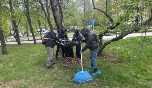 В сквере на улице Крупской провели субботник