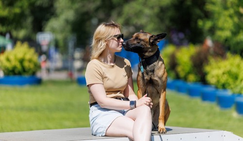 В ЮЗАО откроются временные пункты вакцинации для питомцев