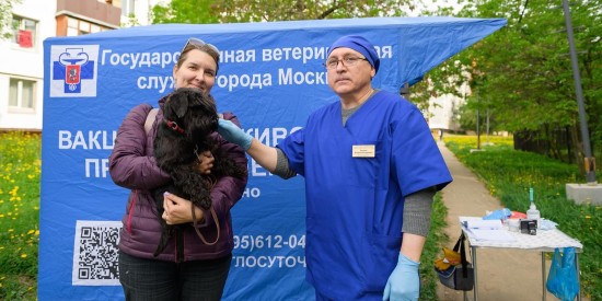 В Южном Бутове 15 мая пройдет вакцинация домашних животных