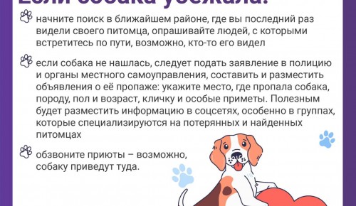 В Службе 112 рассказали о пропаже собак