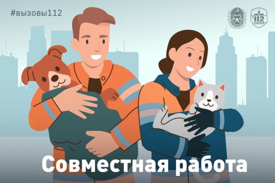 Спасатели ЮЗАО достали застрявшего котенка