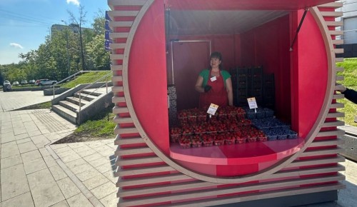 В районе Зюзино заработали три точки продажи свежих сезонных ягод