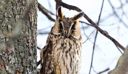 В экоцентре «Лесная сказка» состоится тематическое занятие «Исчезающие» 21 мая
