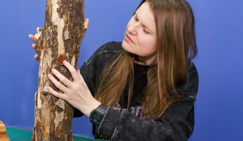 Дарвиновский музей приглашает людей с особенностями здоровья на интерактивное знакомство с природой